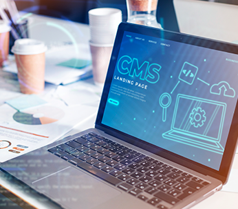 Enterprise CMS Development 