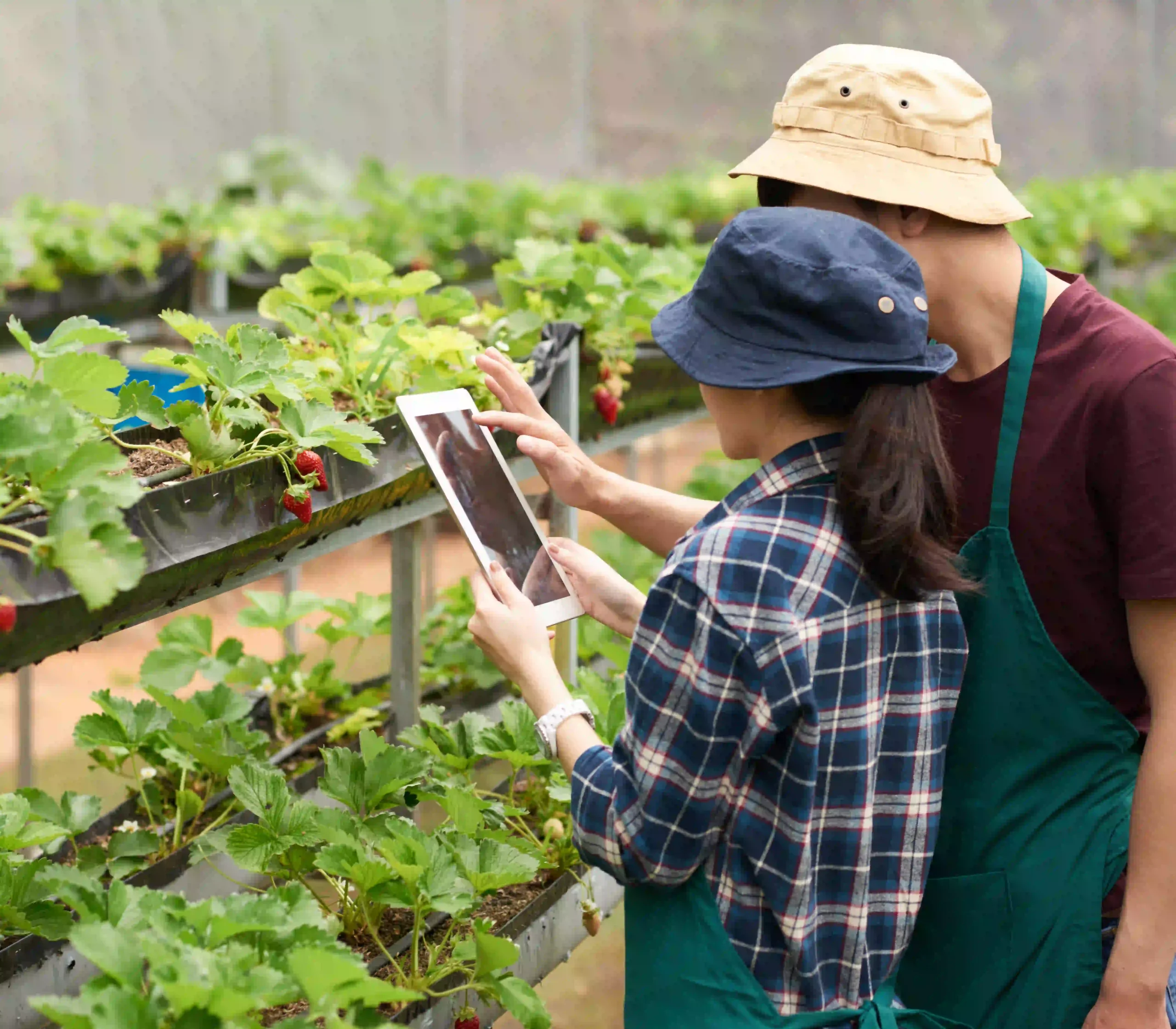 Smart Agriculture Mobile Platform on AWS