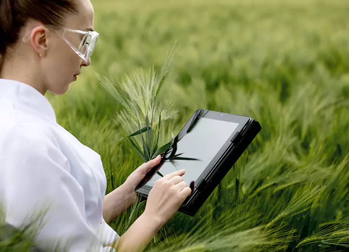 Noxious Weed Management System Developed